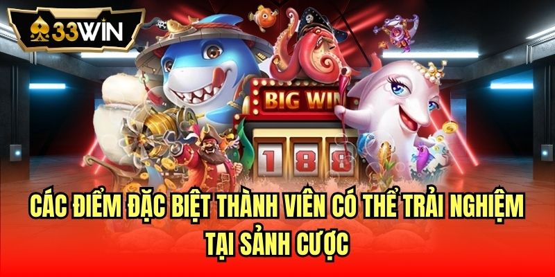 Các điểm đặc biệt thành viên có thể trải nghiệm tại sảnh cược